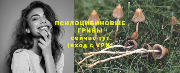 ALPHA PVP Армянск