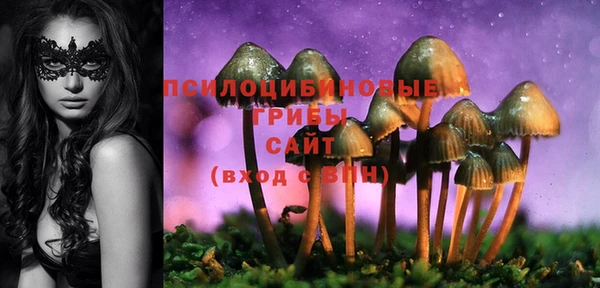 spice Арсеньев
