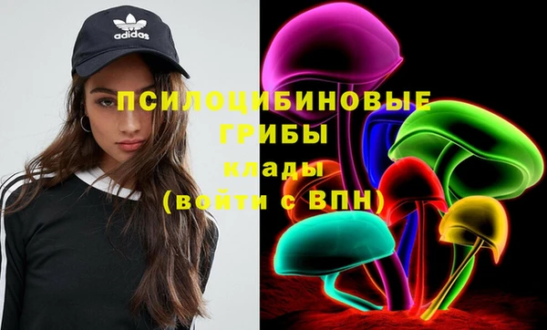 spice Арсеньев