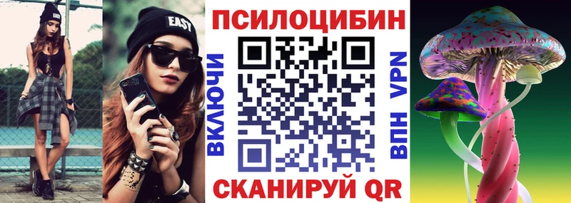 Купить закладки  Луза  Галлюциногенные грибы прущие грибы 
